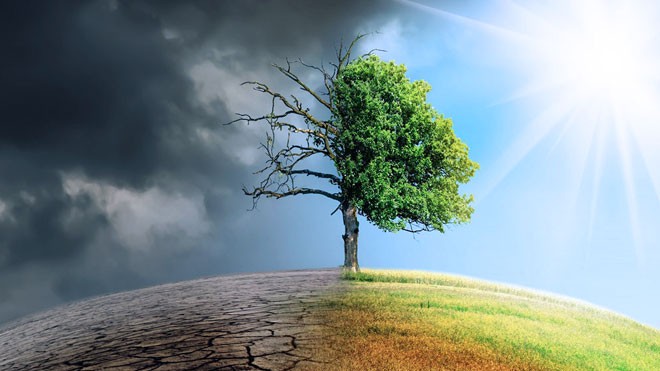  Global Warming Effect dan Resistensi Makhluk Hidup